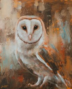 W1113 Barn Owl