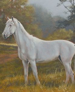 W1150 Horse