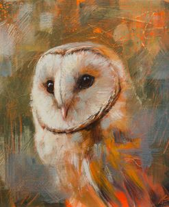 W1161 Barn Owl