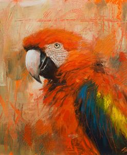 W1173 Parrot