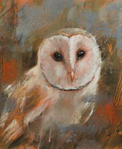 W1174 Barn Owl