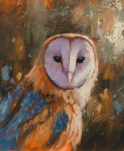 W1188 Barn Owl