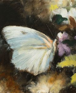 W1387 Butterfly