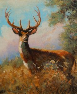 W1483 Deer