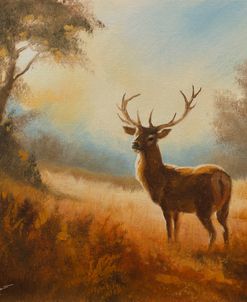 W1474 Deer