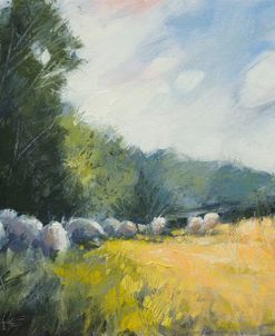 L604 Sheep in Landscape