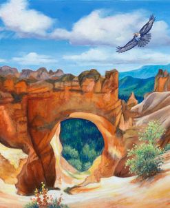 Hawk Over Bryce Canyon