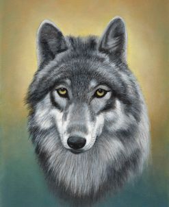 Gray Wolf