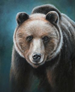 Brown Bear