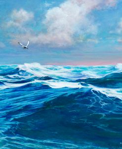 Ocean Vista