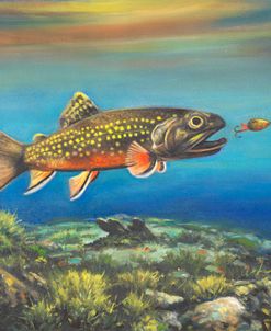 Trout Season