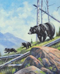 Mama and Cubs
