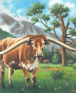 Mountain Valley Longhorn