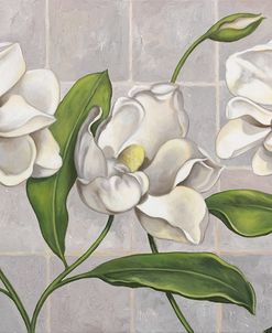 White Magnolia