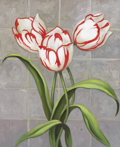 Red-Striped Tulips
