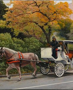 Carriage At Central Park