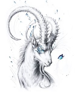 Capricorn