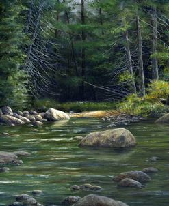 Forest River