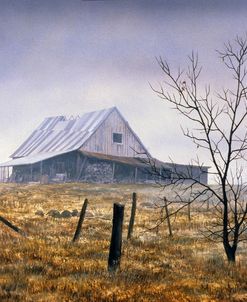 Ground Fog