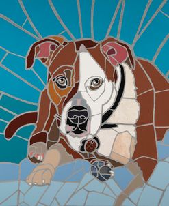 Pit Bull Portrait I