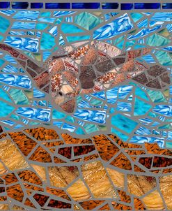Sea Turtle