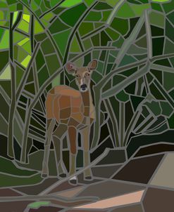 Deer in Woods