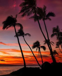 Maui Sunset