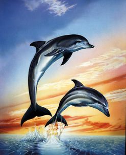 Dolphins