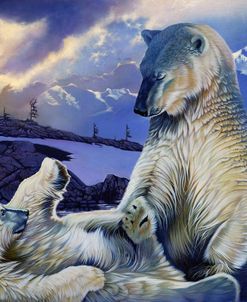 Polar Bears 1