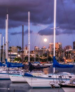 Harbor Moon