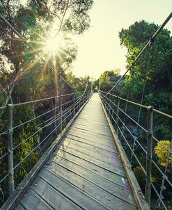 Sunbeams And The Bridge