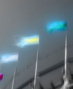 5 Flags