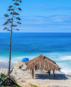 The Shack And The Sea