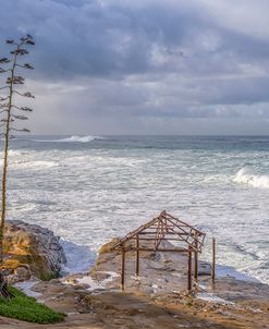 A La Jolla Winter