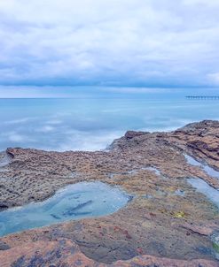 Tide Pool