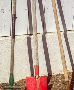 Waiting For Something To Plant