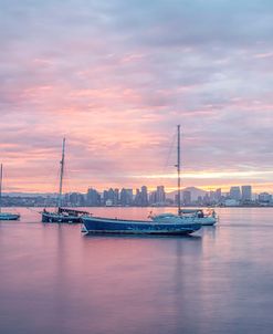 Pastel Harbor Sunrise