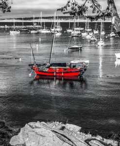 Red Boat Monterey