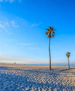 Coronado Central Blue