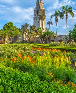 Alcazar Gardens