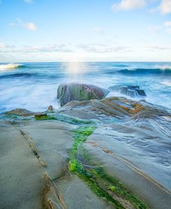 Green Path To The Sea