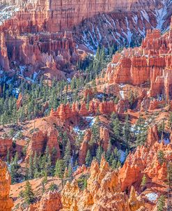 Bryce Canyon Beauty