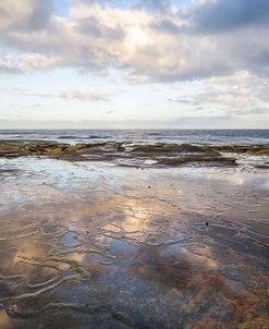 Glass Reef