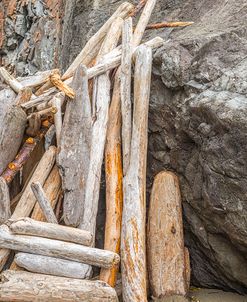 Bundle Of Driftwood Beauty