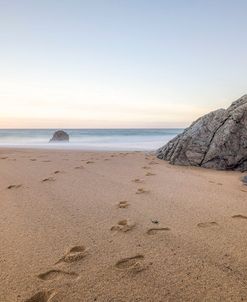 Footprints Among The Rocks