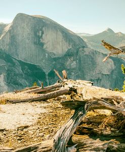 Mighty Half Dome 1