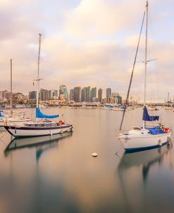 Calm In Reflection San Diego