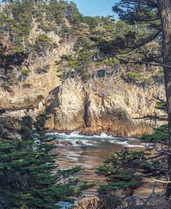 Pines and Coast Point Lobos