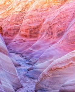 Path Through Pink Canyon 1