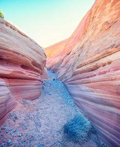 Path Through Pink Canyon 2